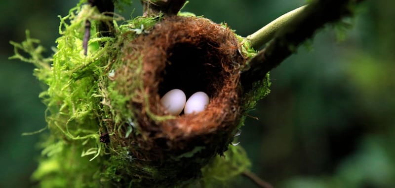 Protecting Your Nest Egg From Inflation and Market Volatility