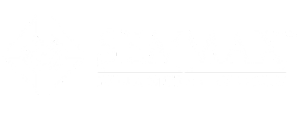 Semmax Financial Group